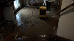 Professional water extraction crew deploying dehumidifiers and air movers in flooded residential basement