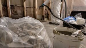 Mold remediation demolition phase with HEPA vacuuming of exposed framing under S520 Section 12 protocols